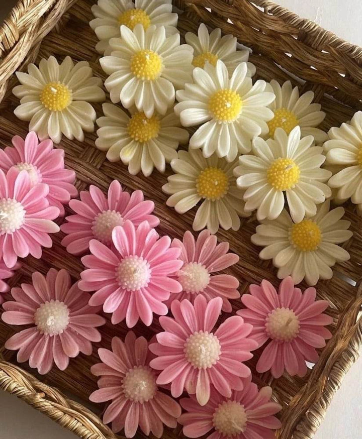 Daisy Flower Scented Candle in pakistan - RiwayatbyRida